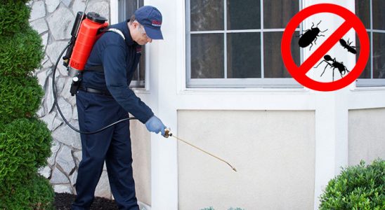 Eruh Kemirgen İlaçlama böcek ilaçlama ve haşere kontrolü — ilaclama-tr.com